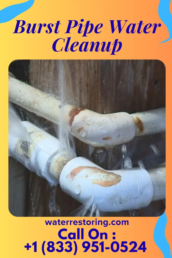 Burst Pipe Water Cleanup in Longcreek, SC