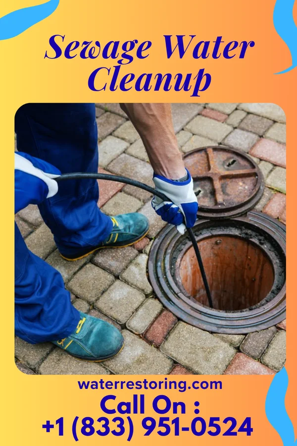 Sewage Water Cleanup in Longcreek, SC