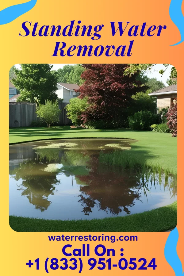 Standing Water Removal in Longcreek, SC